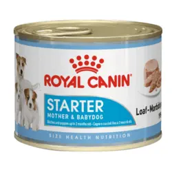 کنسرو غذای سگ رویال کنین مدل Starter Mother & Babydog وزن ۱۹۵ گرم