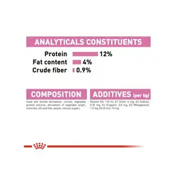 پوچ بچه گربه رویال کنین مدل Kitten وزن 85 گرم