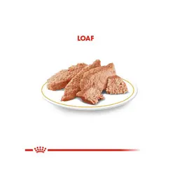 پوچ سگ بالغ پودل رویال کنین Royal Canin Adult Poodle وزن 85 گرم