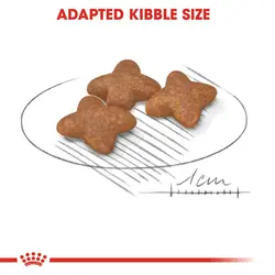 غذای خشک سگ رویال کنین +8 Royal Canin Mini Adult وزن 2 کیلوگرم