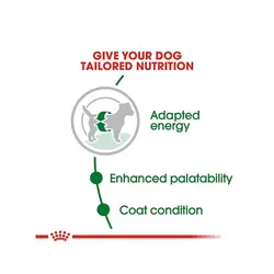 غذای خشک سگ رویال کنین +8 Royal Canin Mini Adult وزن 2 کیلوگرم
