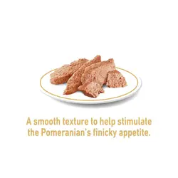 پوچ سگ بالغ پامرانیان رویال کنین Royal Canin Adult Pomeranian وزن 85 گرم