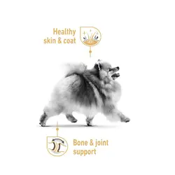 پوچ سگ بالغ پامرانیان رویال کنین Royal Canin Adult Pomeranian وزن 85 گرم