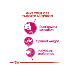 غذای خشک گربه رویال کنین مخصوص گربه بد غذا Royal Canin Savour Exigent وزن 400 گرم