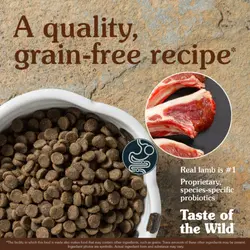 غذای خشک سگ تیست آف د وایلد Taste Of The Wild Sierra Mountain وزن 2.27 کیلوگرم