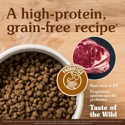 غذای خشک توله سگ تیست آف د وایلد Taste Of The Wild High Prairie Puppy وزن 2.27 کیلوگرم