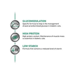 پوچ گربه رویال کنین مدل Diabetic وزن 85 گرم