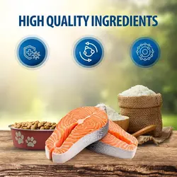 غذای خشک گربه رفلکس پلاس مدل Adult Salmon وزن 15 کیلوگرم