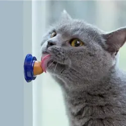 آبنبات تشویقی گربه