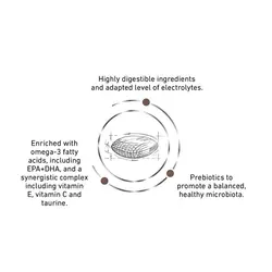 غذای خشک گربه رویال کنین مدل Gastrointestinal Hairball وزن 2 کیلوگرم