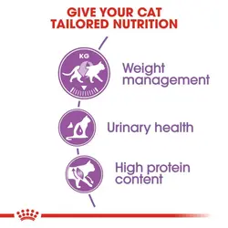 غذای خشک گربه عقیم شده رویال کنین Royal Canin Regular Sterilised وزن 15 کیلوگرم