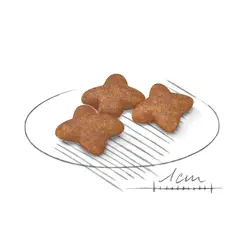 غذای خشک سگ رویال کنین Royal Canin Mini Adult وزن 8 کیلوگرم