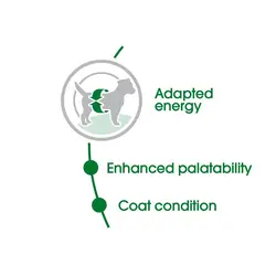 غذای خشک سگ رویال کنین Royal Canin Mini Adult وزن 8 کیلوگرم