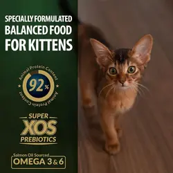 غذای خشک بچه گربه رفلکس پلاس مدل Chicken Kitten وزن 1 کیلوگرم