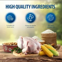غذای خشک بچه گربه رفلکس پلاس مدل Chicken Kitten وزن 1 کیلوگرم