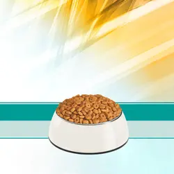 غذای خشک گربه رفلکس مدل Sterilised وزن 3 کیلوگرم + 300 گرم رایگان
