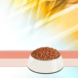 غذای خشک گربه رفلکس مدل Kitten وزن 15 کیلوگرم