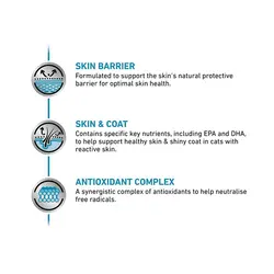 غذای خشک گربه رویال کنین مدل Skin & Coat وزن 1.5 کیلوگرم