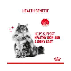 پوچ گربه رویال کنین Royal Canin Hair & Skin وزن 85 گرم