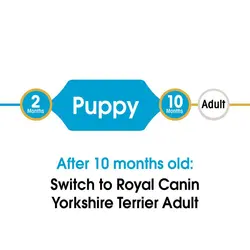 غذای خشک توله سگ رویال کنین مدل Puppy Yorkshire Terrier وزن 1 کیلوگرم
