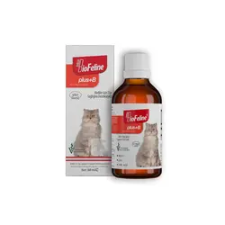 قطره ب-کمپلکس گربه بیوفلاین BioFelinen Plus+B Drop حجم 50 میلی لیتر