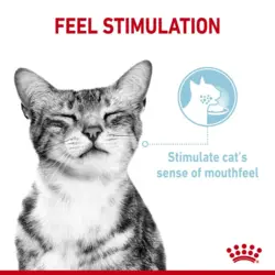 پوچ گربه بد غذا رویال کنین در سس Royal Canin Sensory Feel in Gravy وزن 85 گرم