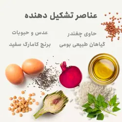 غذای خشک کاهش وزن گربه بابین Babin Adult Sterilised Weight Loss وزن 1.5 کیلوگرم