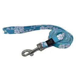 لید سگ هاگن Hagen Dogit Leash سایز M