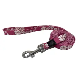 لید سگ هاگن Hagen Dogit Leash سایز L