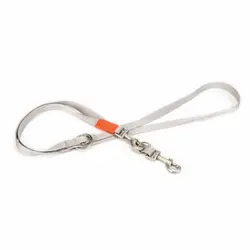 لید سگ تسمه ای بیزتیس BeesTeez Nylon Leash سایز S