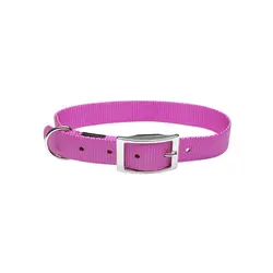 قلاده گردنی تسمه ای سگک دار بدون لید سگ هاگن Hagen Dogit Nylon Collar with Buckle سایز L