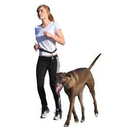 لید کمری مخصوص پیاده روی سگ کربل Kerbl Running Leash