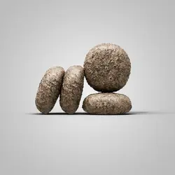 غذای خشک سگ جوسرا Josera Adult Mini Deluxe وزن 10 کیلوگرم