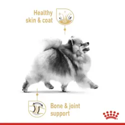 غذای خشک سگ بالغ رویال کنین با طعم مرغ Royal Canin Adult Pomeranian وزن 3 کیلوگرم
