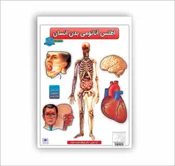 اطلس آناتومی بدن انسان 16 برگی انتشارات عصر اندیشه