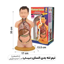 مولاژ یک چهارم بدن انسان کمک آموزشی انتشارات عصر اندیشه