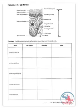 کتاب آناتومی بدن انسان و فیزیولوژی مرجع جامع و کاربردی