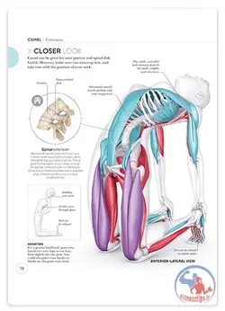 کتاب علم یوگا به همراه تصاویر آناتومی و فیزیولوژی بدن