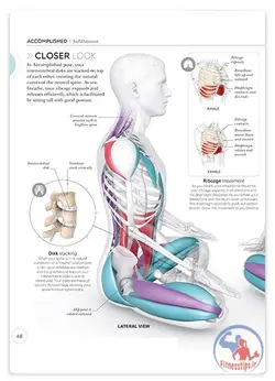 کتاب علم یوگا به همراه تصاویر آناتومی و فیزیولوژی بدن