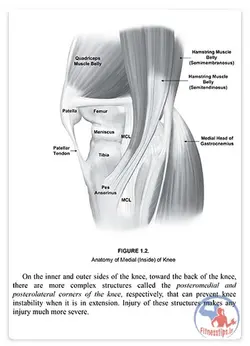 کتاب آسیب های زانو در ورزش و پیشگیری از صدمات شایع