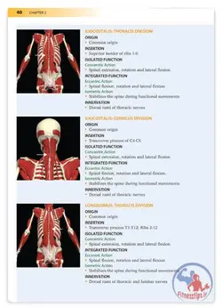 اصول حرکات اصلاحی و ناهنجاری بدن با آموزش تصویری