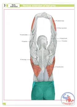 کتاب تمرینات کششی دانشنامه آموزشی به همراه تصاویر