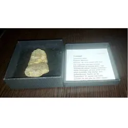 فسیل ترایلوبایت متعلق به 410 میلیون سال پیش - موسسه طبیعت آسمان شب | فروشگاه تلسکوپ دوچشمی میکروسکوپ