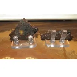 دو شهاب سنگ پالازیت از سریکو در کنیا - موسسه طبیعت آسمان شب | فروشگاه تلسکوپ دوچشمی میکروسکوپ