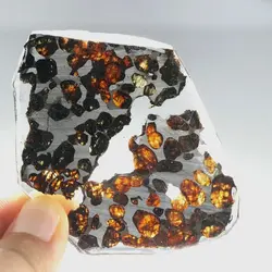 شهاب سنگ دوتکه پالازیت از سریکو در کنیا - موسسه طبیعت آسمان شب | فروشگاه تلسکوپ دوچشمی میکروسکوپ