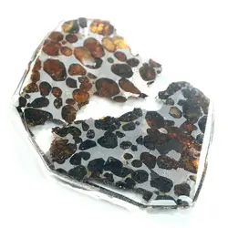 شهاب سنگ دوتکه پالازیت از سریکو در کنیا - موسسه طبیعت آسمان شب | فروشگاه تلسکوپ دوچشمی میکروسکوپ