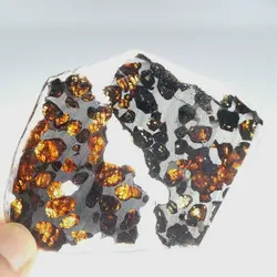 شهاب سنگ دوتکه پالازیت از سریکو در کنیا - موسسه طبیعت آسمان شب | فروشگاه تلسکوپ دوچشمی میکروسکوپ