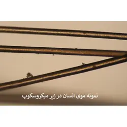 ميكروسكوپ تک چشمی دانش‌آموزی STM-1400 - موسسه طبیعت آسمان شب | فروشگاه تلسکوپ دوچشمی میکروسکوپ