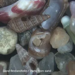 ميكروسكوپ استريو (لوپ) «برسر» مدل جونیور - موسسه طبیعت آسمان شب | فروشگاه تلسکوپ دوچشمی میکروسکوپ