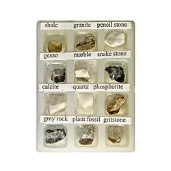 ميكروسكوپ استريو (لوپ) «برسر» مدل جونیور - موسسه طبیعت آسمان شب | فروشگاه تلسکوپ دوچشمی میکروسکوپ